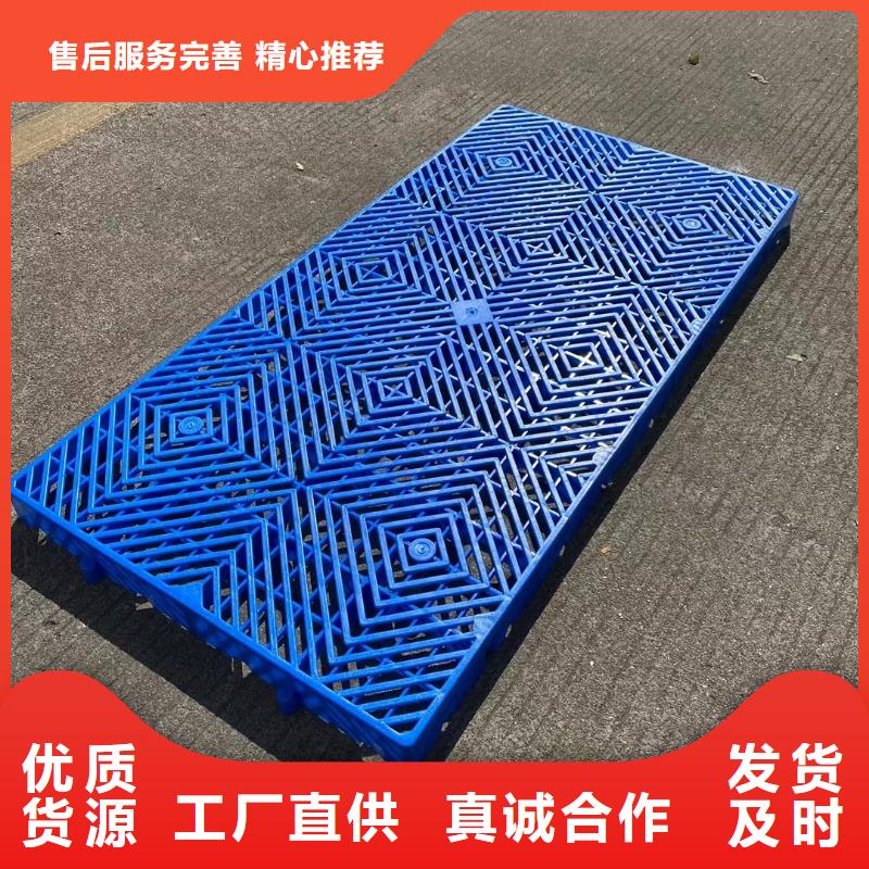 塑料托盘四面进托盘款式新颖