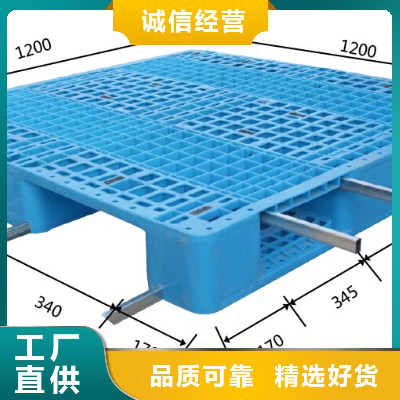 塑料托盘环保塑料拍子规格齐全实力厂家