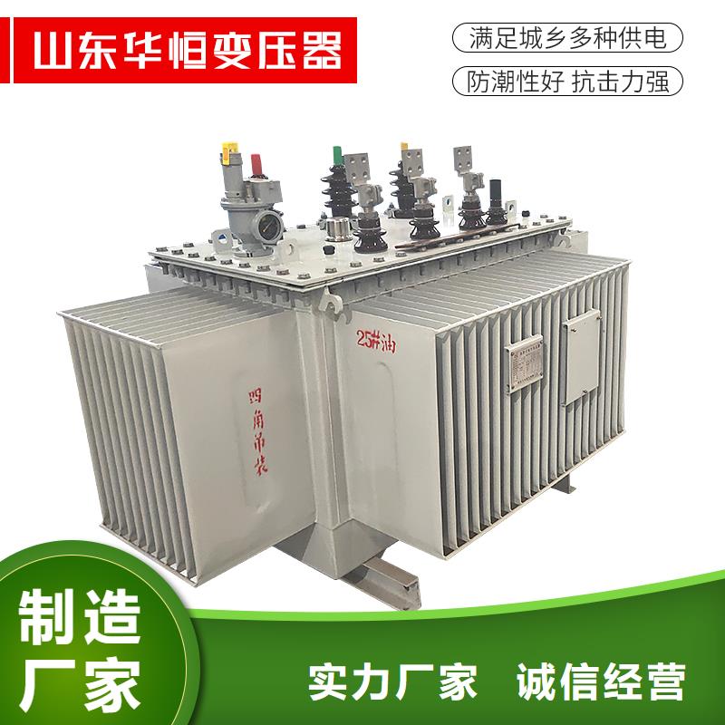 油浸式变压器预装式变电站有实力有经验