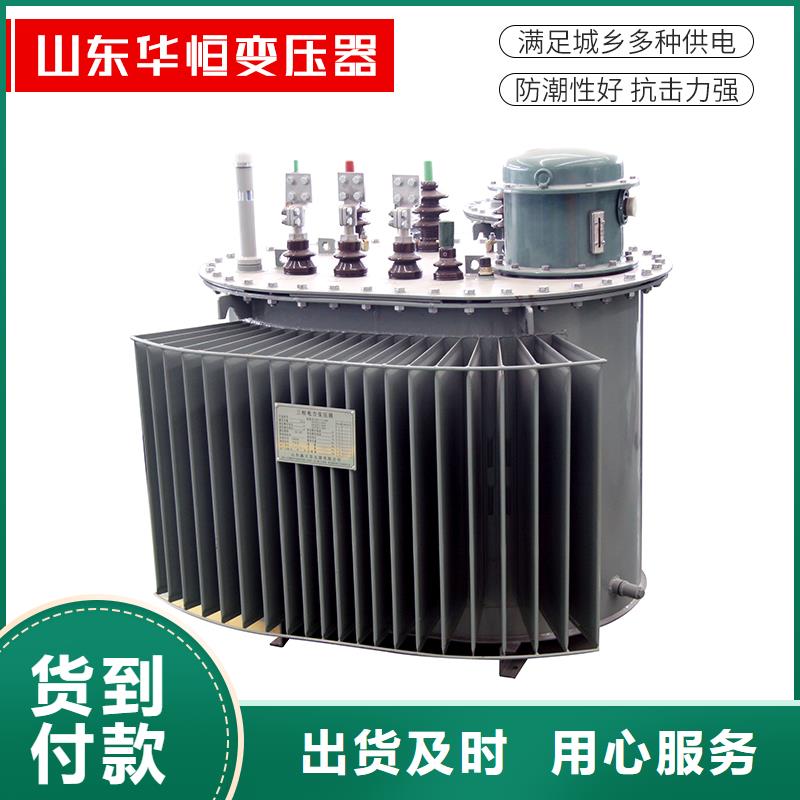 R型三相立式变压器视频-R型三相立式变压器-湖南省怀化市本地公司-会同|鹤城|永州|益阳|娄底|衡阳|湘西|张家界