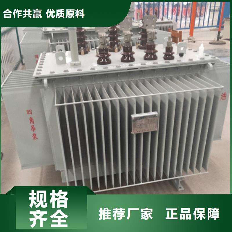 油浸式变压器【三相变压器】丰富的行业经验