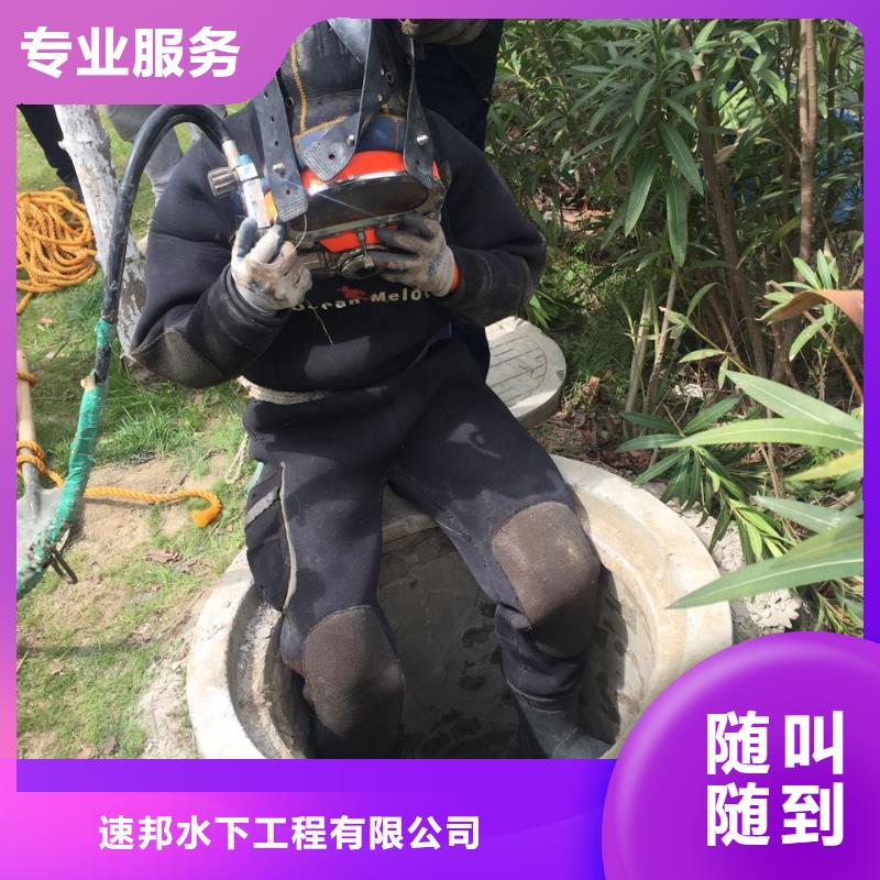 水下安装气囊封堵经验丰富