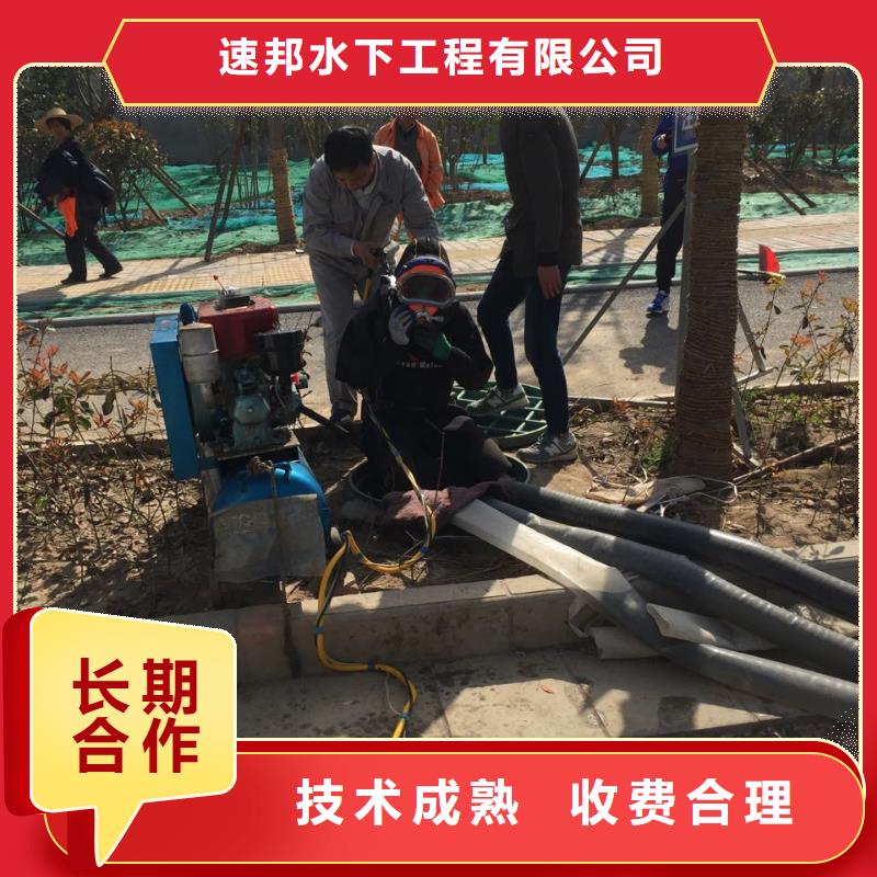 桥桩桩基水下检测