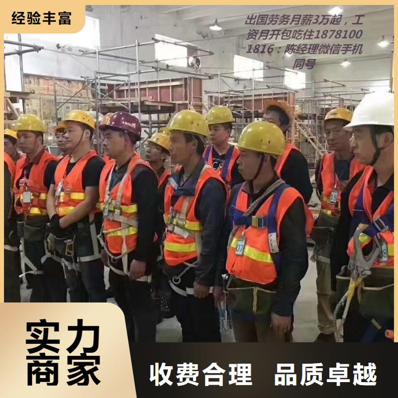 劳务派遣【人事工作】案例丰富