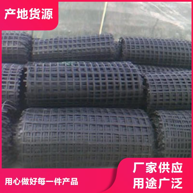 土工格栅生态带专注产品质量与服务