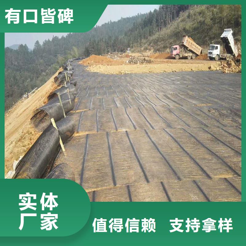 土工格栅\抗裂贴塑料土工格栅本地厂家值得信赖