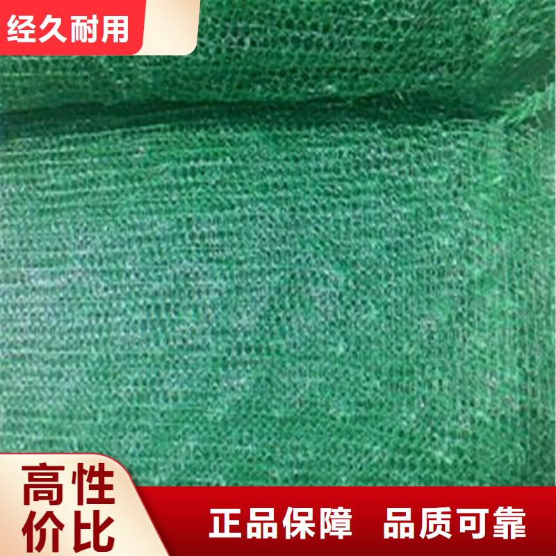土工布矿用格栅快速发货