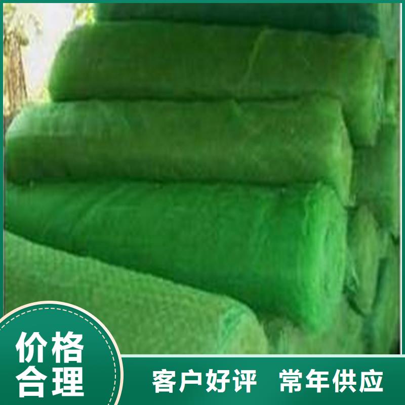 土工布三维植被网客户信赖的厂家