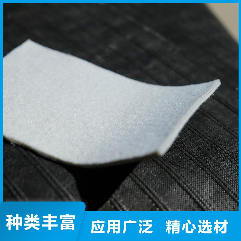土工布生态带工程施工案例