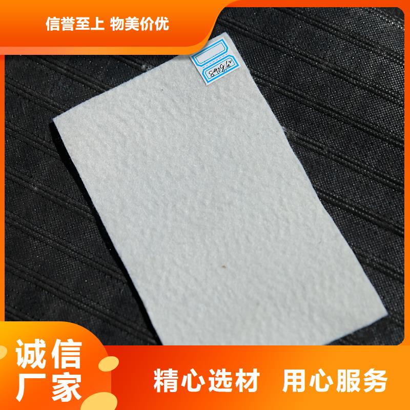 土工布生态带工程施工案例