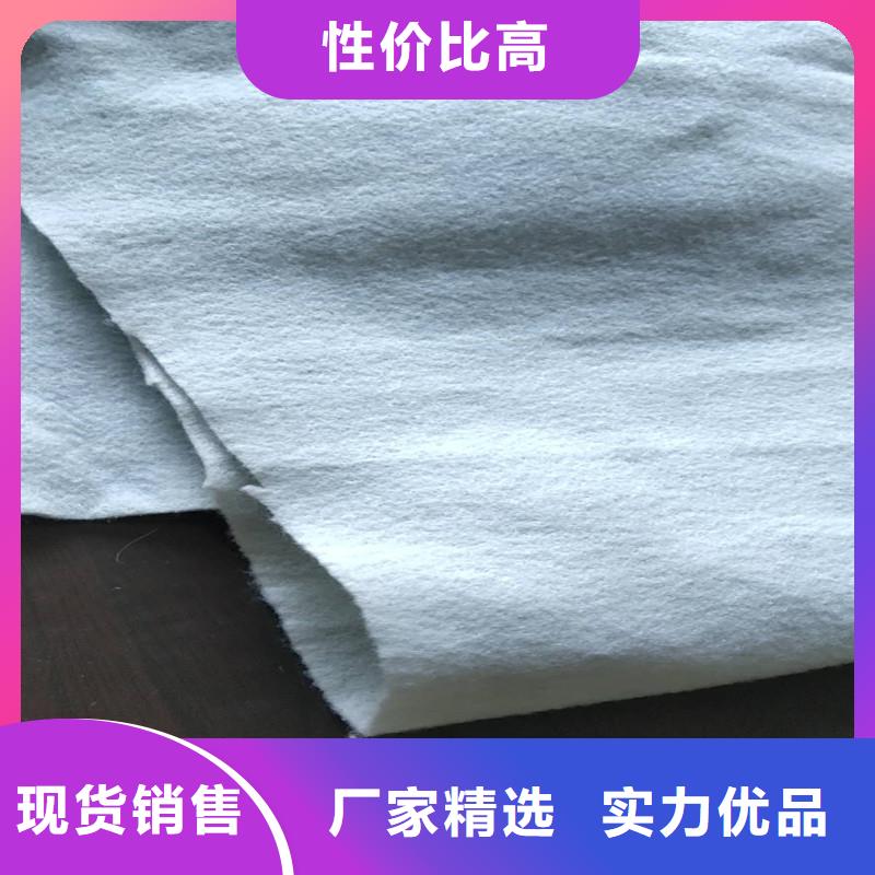 土工布三维植被网用心经营