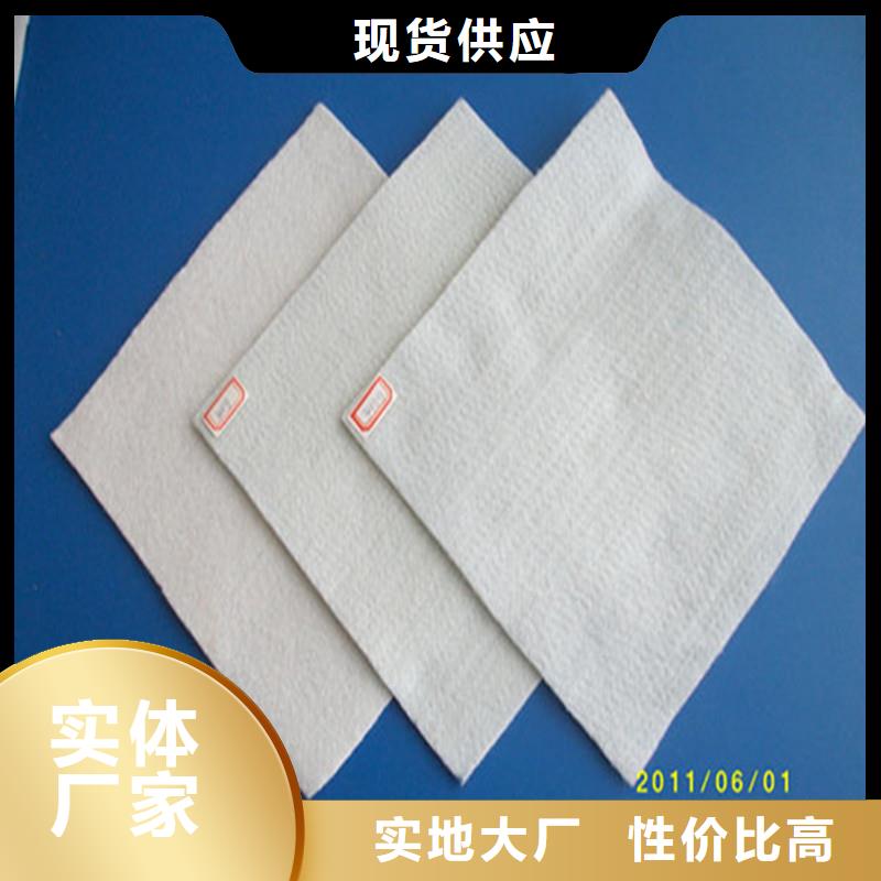 土工布生态带工程施工案例