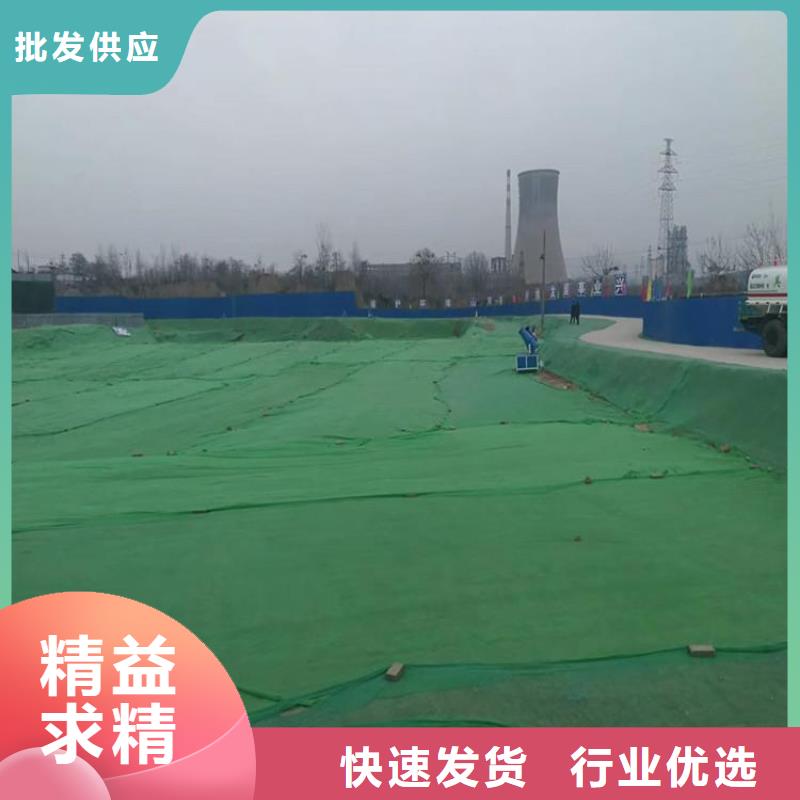 土工布矿用格栅快速发货