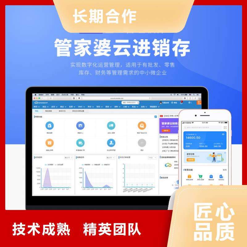 软件管家婆软件