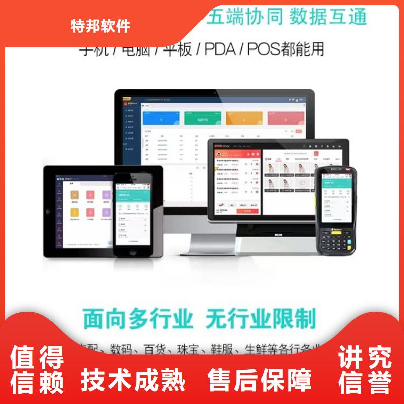 软件进销存财务软件专业承接