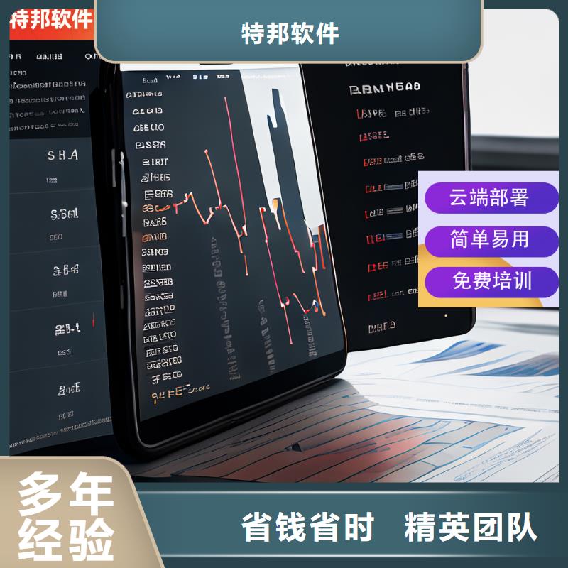 软件,进销存软件实力公司