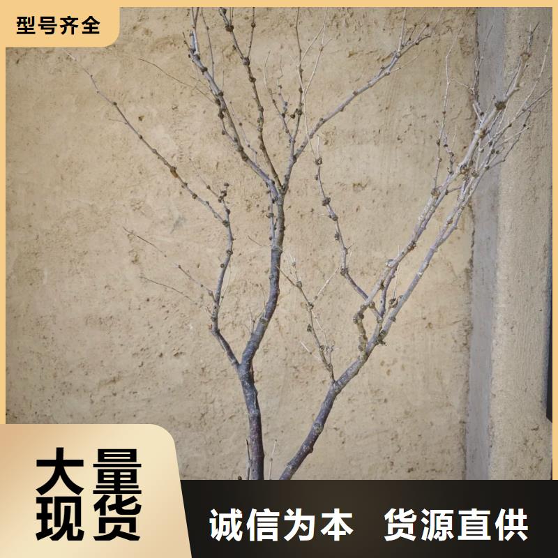 仿五花断层夯土漆施工#仿泥巴稻草漆#民宿改造#美丽乡村