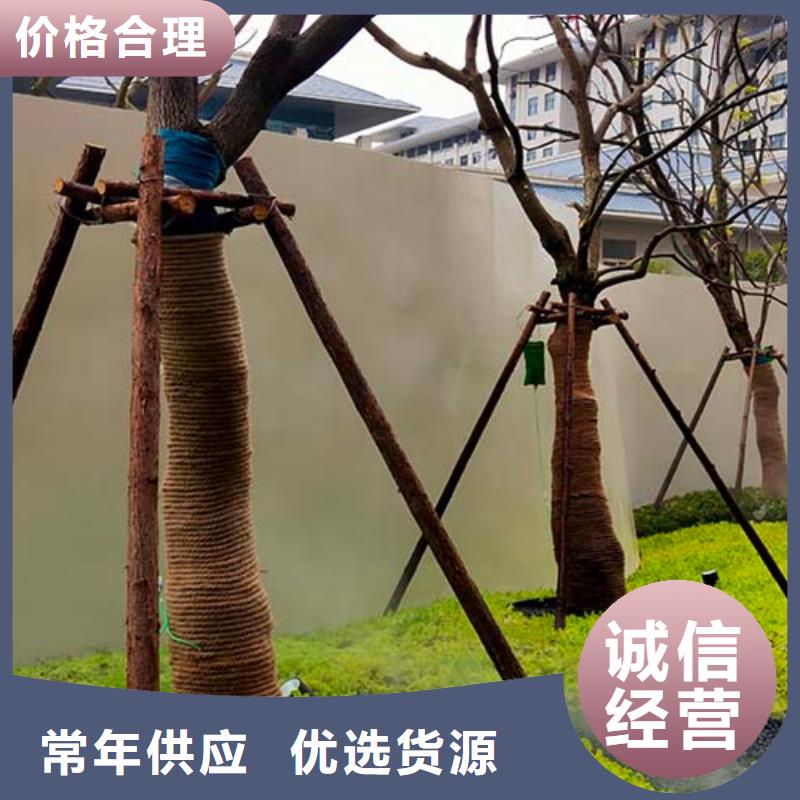 微水泥外墙夯土漆产品实拍