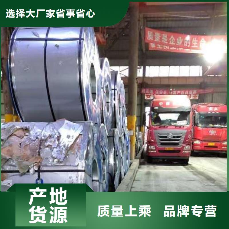 电工钢-硅钢卷实时报价