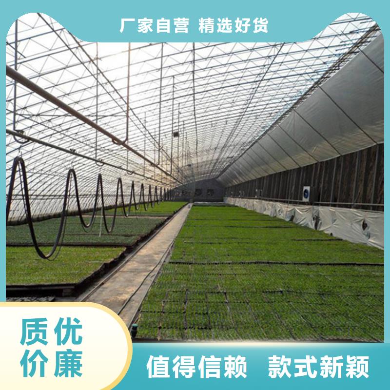 蔬菜大棚厂家视频-蔬菜大棚厂家|淮北市|杜集|濉溪|亳州|滁州|蚌埠|安庆|巢湖