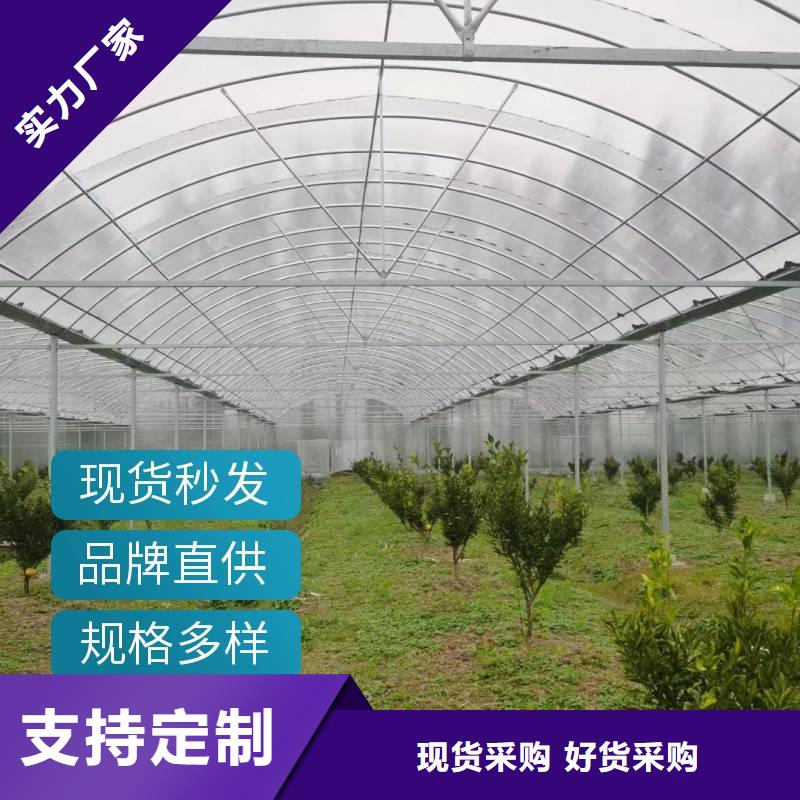 蔬菜大棚厂家视频-蔬菜大棚厂家|淮北市|杜集|濉溪|亳州|滁州|蚌埠|安庆|巢湖