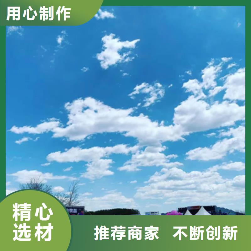 发电机出租公司可并网可并机