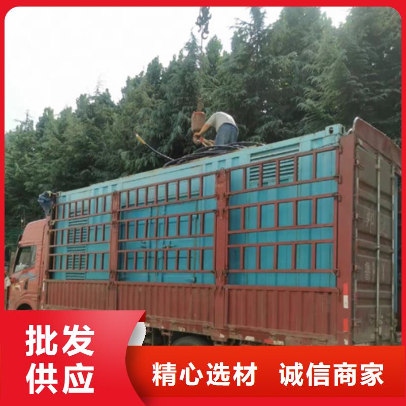 UPS电源租赁含税含运费提供电缆