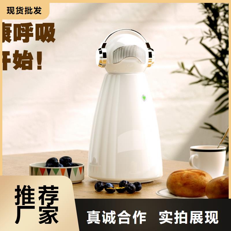 小白祛味王车载空气净化器价格现货充足量大优惠