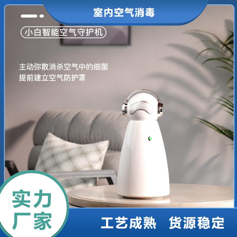 小白祛味王车载空气净化器价格现货充足量大优惠