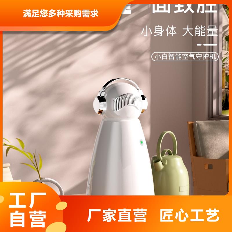小白祛味王-小白空气守护机设备齐全支持定制