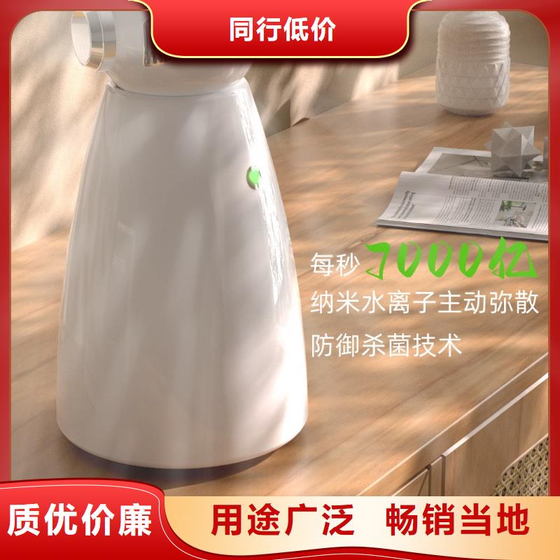 小白祛味王【空气净化器大厂】实力优品
