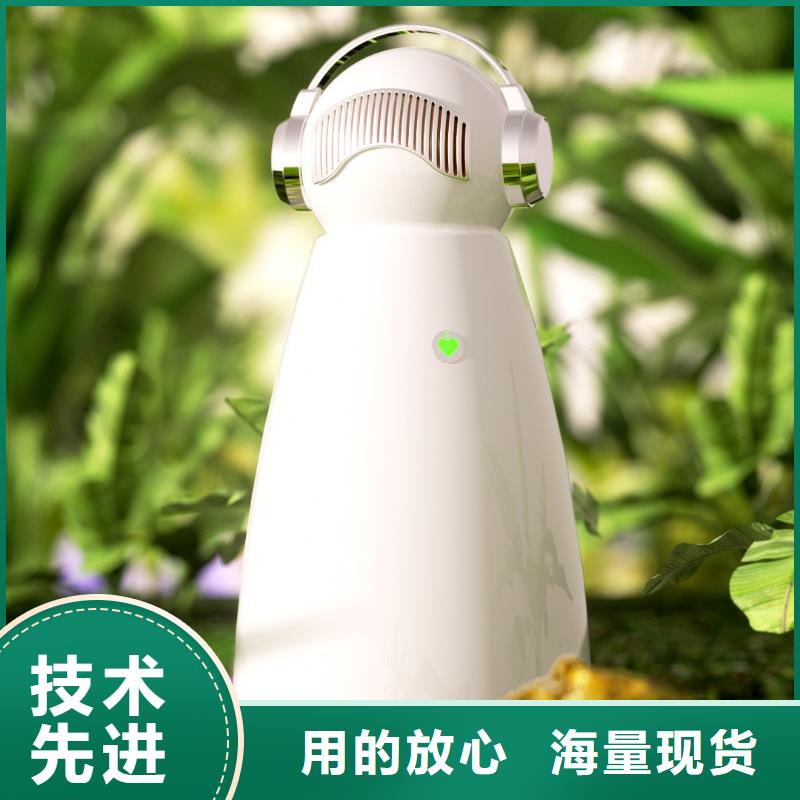 小白祛味王生产厂家视频-湖北省小白祛味王生产厂家-(附近)可服务区域孝感|随州|黄冈|黄石|荆州|鄂州|咸宁