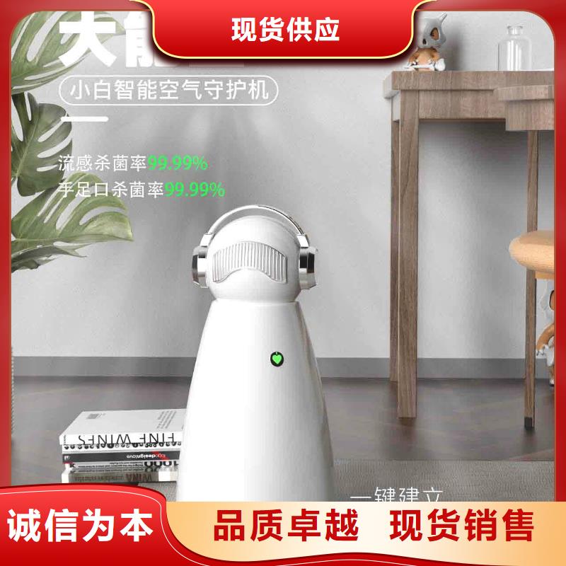 小白孕妇空气守护机销售小白空气守护机器人专业生产厂家