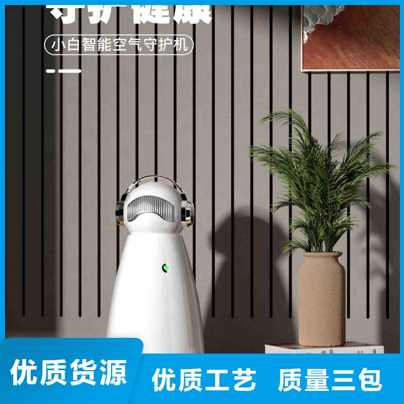 小白孕妇空气守护机车载空气净化器销售热线生产安装