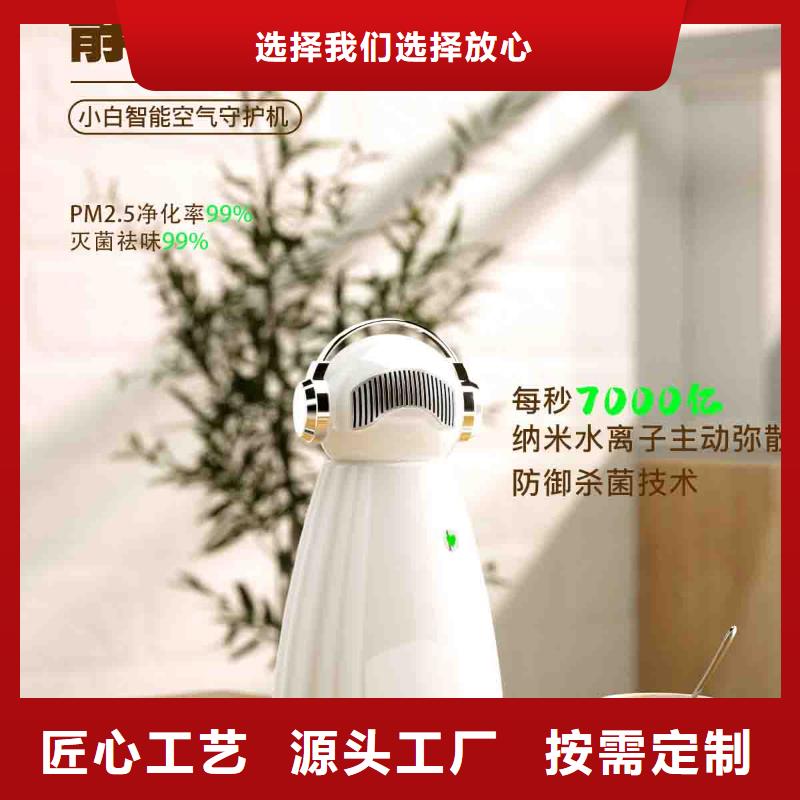 小白孕妇空气守护机车载空气净化器供应售后无忧