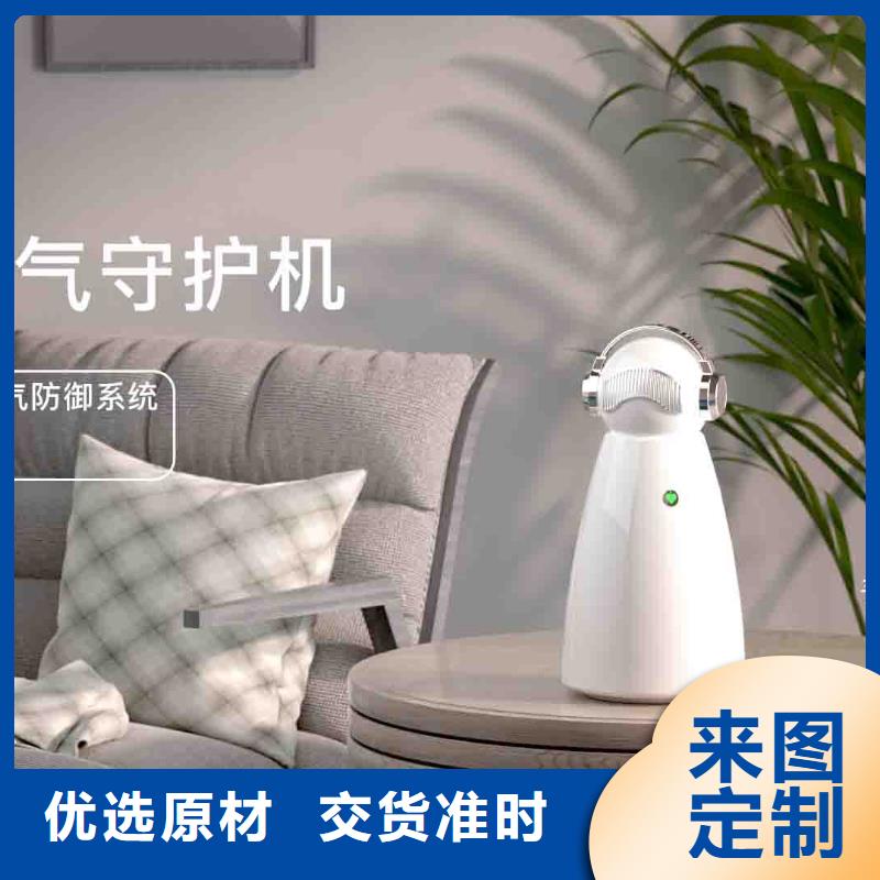 小白孕妇空气守护机车载空气净化器销售热线生产安装