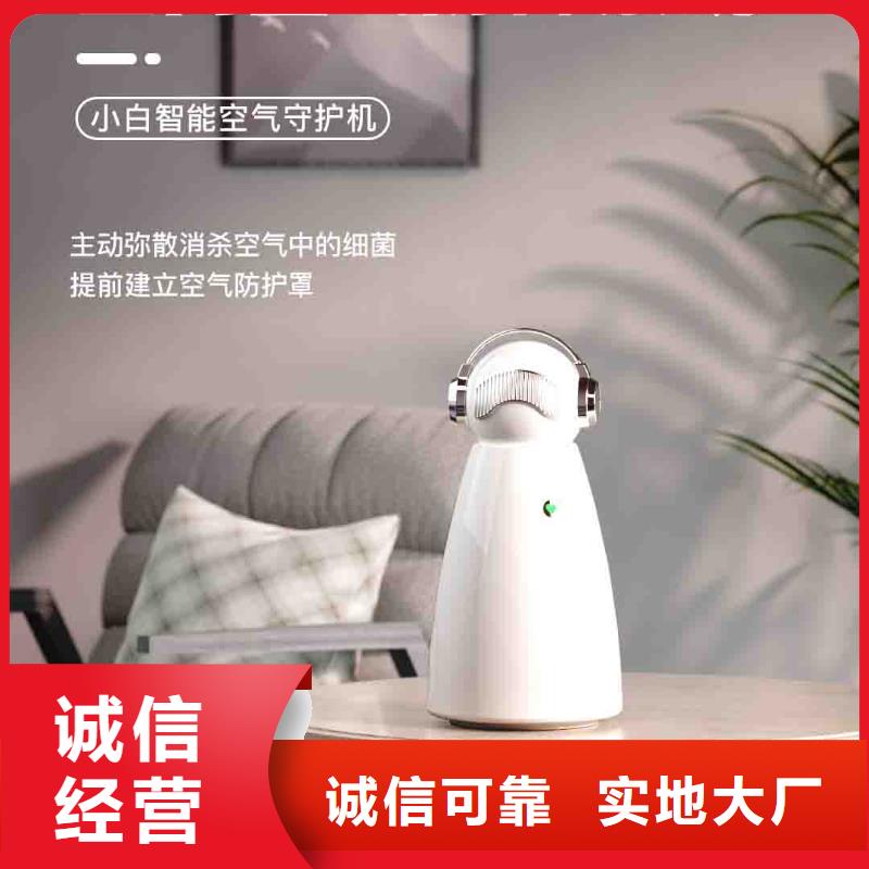 小白孕妇空气守护机车载空气净化器供应售后无忧
