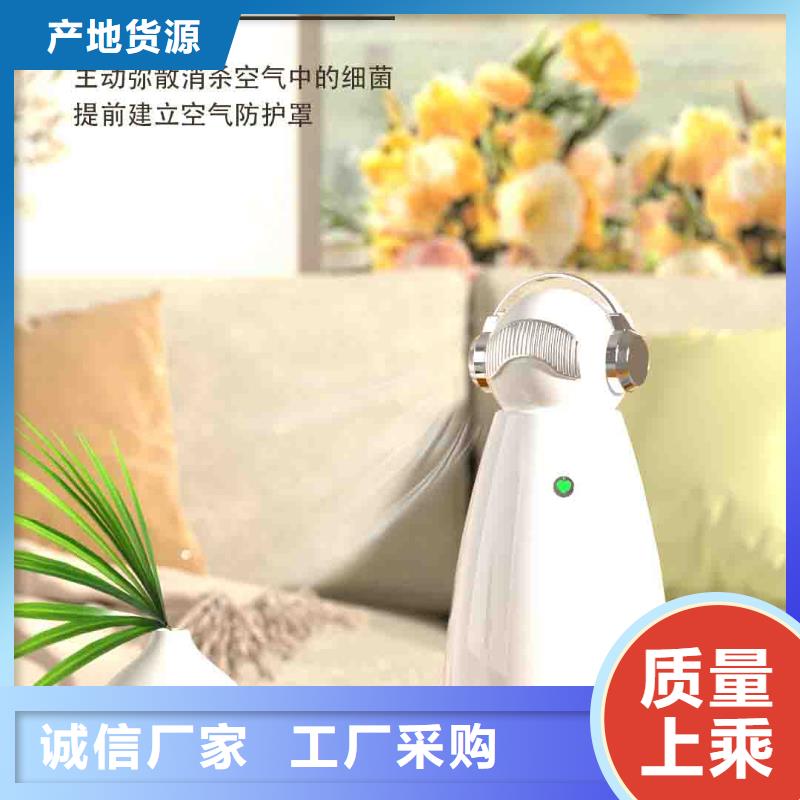 小白孕妇空气守护机小白祛味王供应厂家售后完善