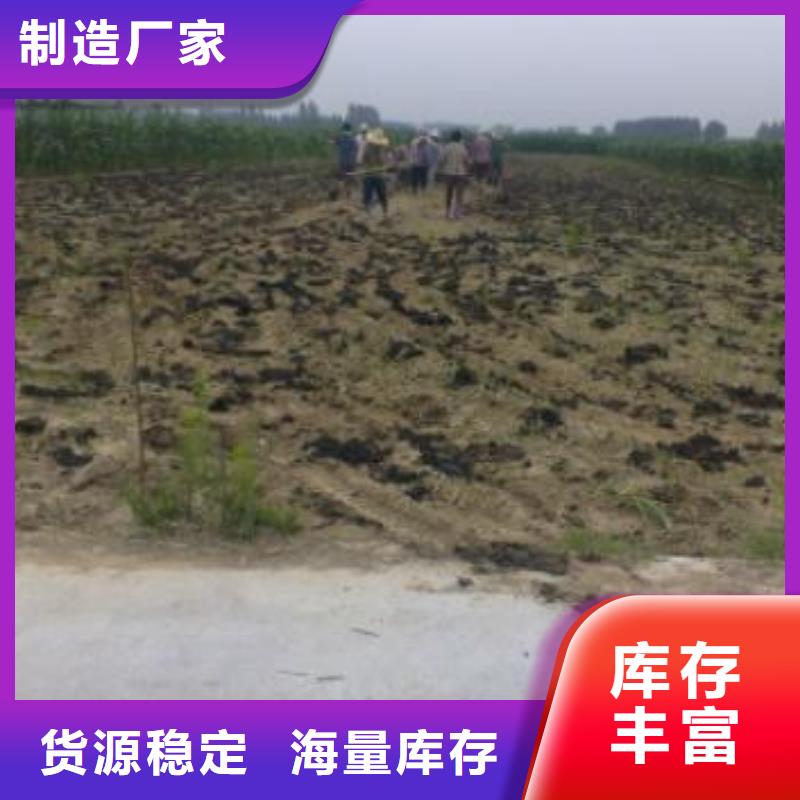 稻壳鸡粪适合瓜果施肥
