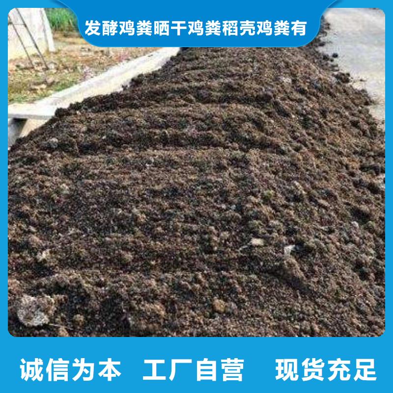 发酵鸡粪肥沃农田