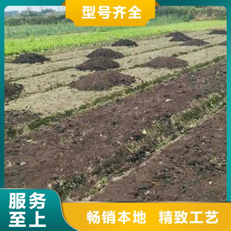 发酵羊粪松土沃土