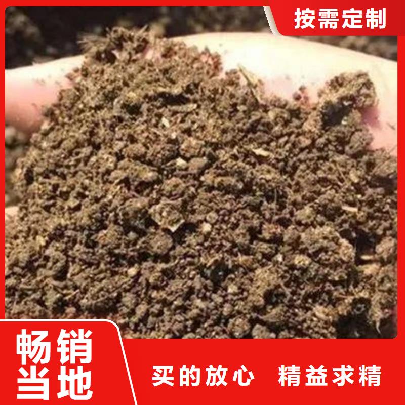 晒干鸡粪我想知道