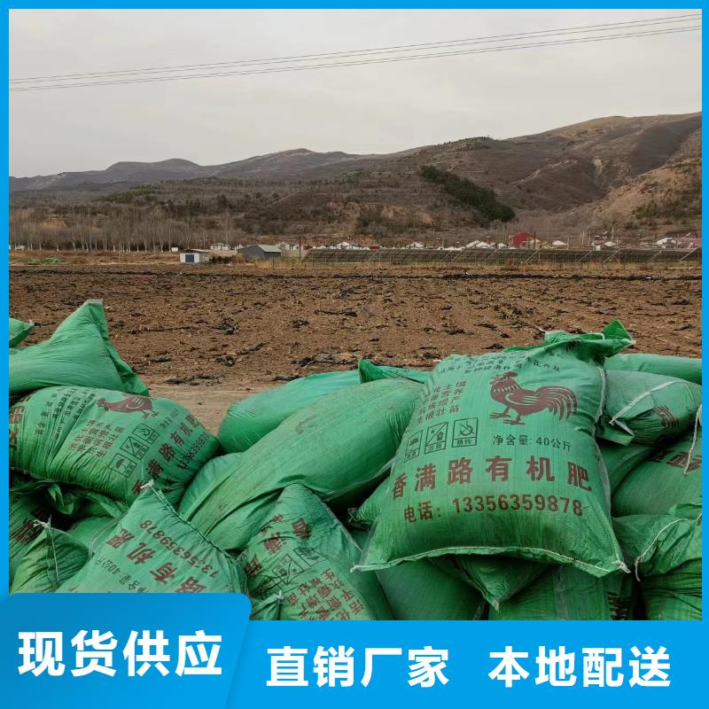 干鸡粪种蔬菜好