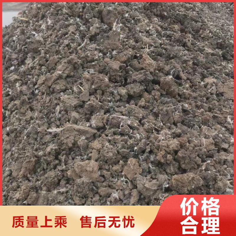 鸡粪实拍品质保障