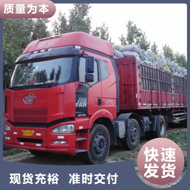 羊粪有机肥大棚蔬菜能用
