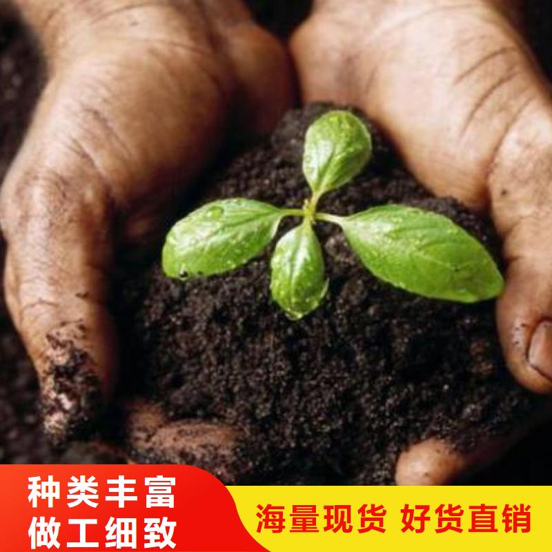 晒干鸡粪我想知道