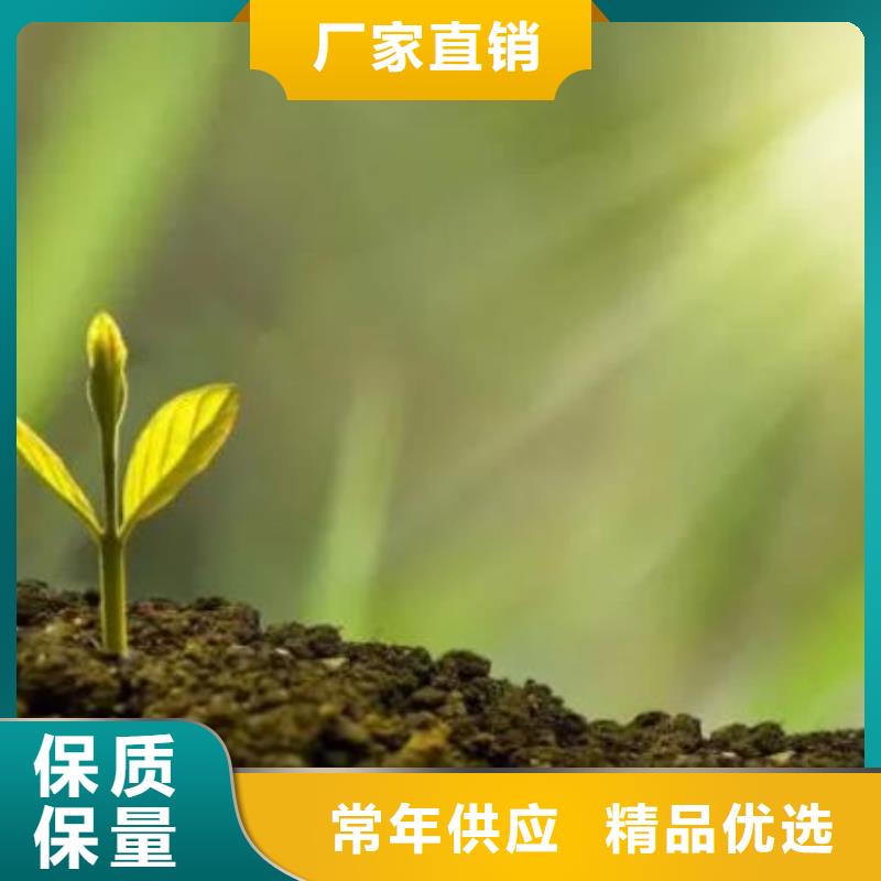 晒干鸡粪我想知道
