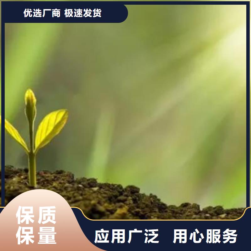 干鸡粪块培肥地力