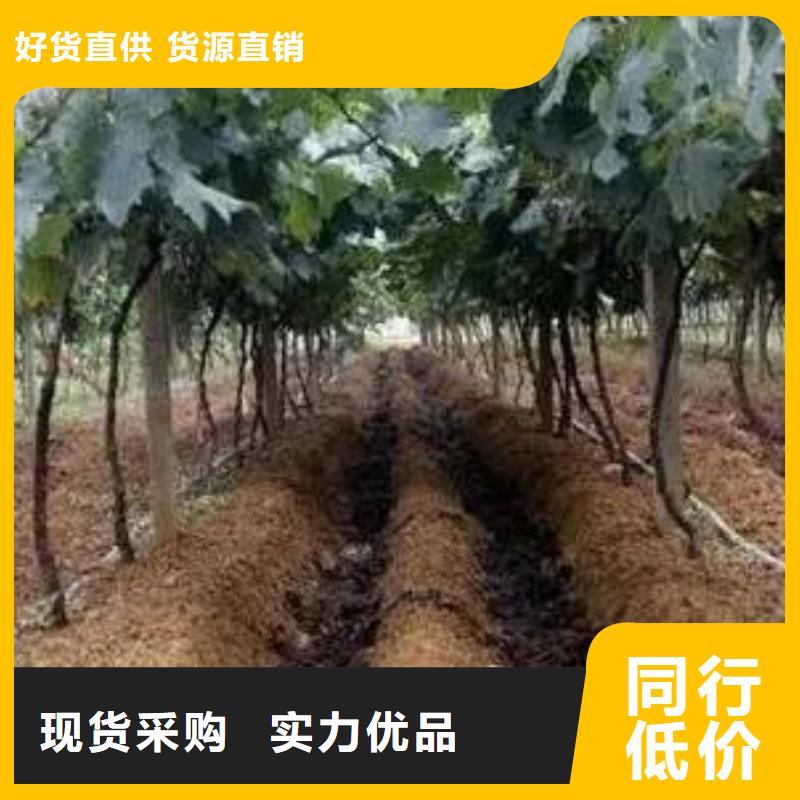 发酵鸡粪好的有机肥