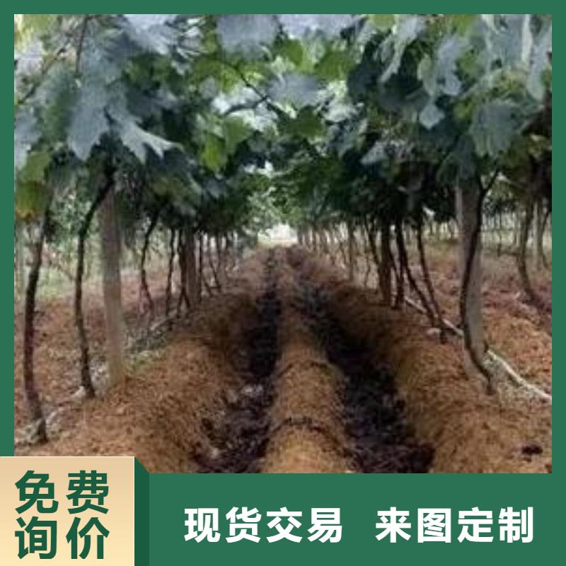 晒干鸡粪合理施肥